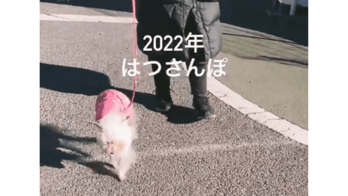 2022年初散歩
