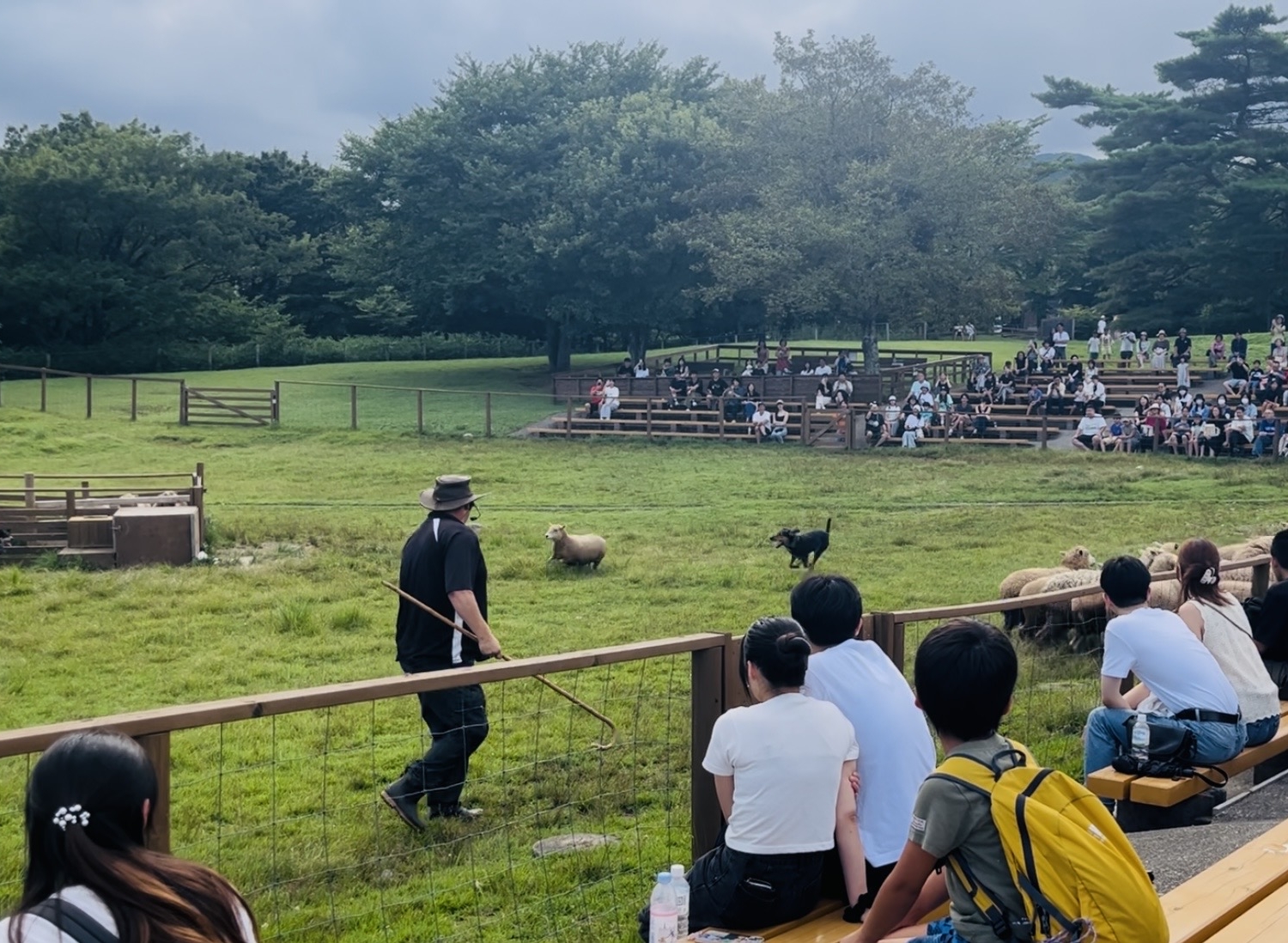 那須高原の動物園