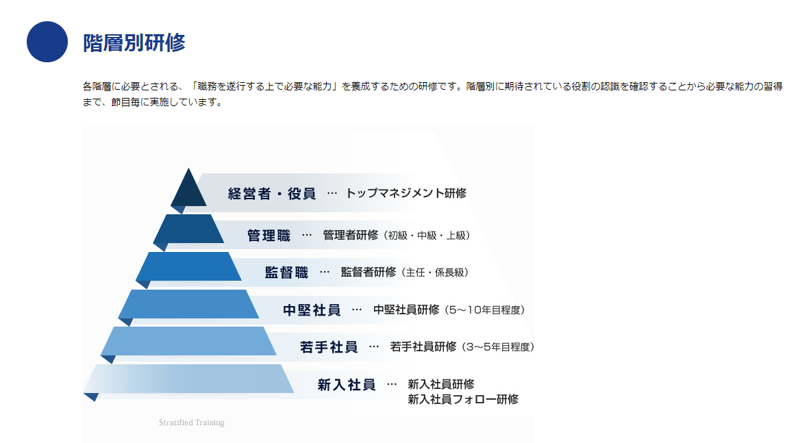 階層別研修グラフ