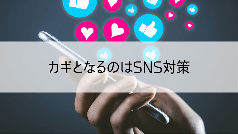 カギとなるのはSNS対策