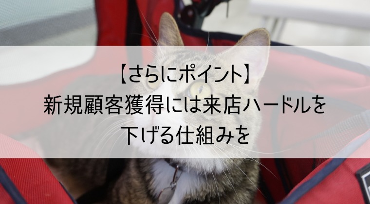 トリミングサロンの新規顧客獲得方法